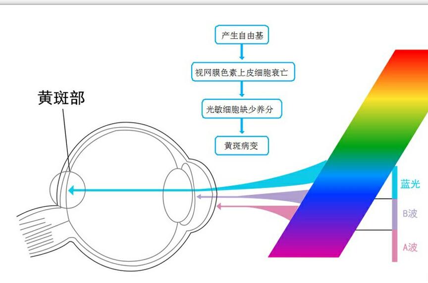 藍光傷害